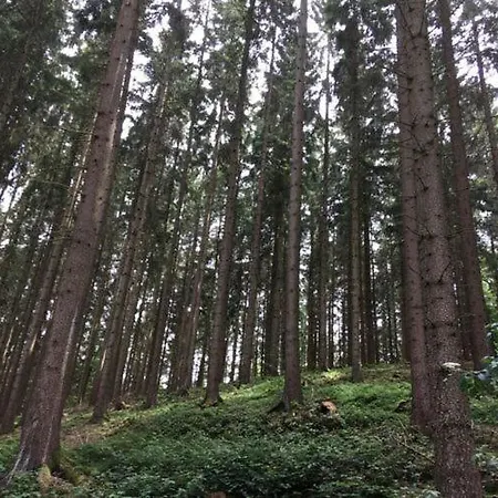 Am Dreisbach * 巴特明斯特艾弗尔