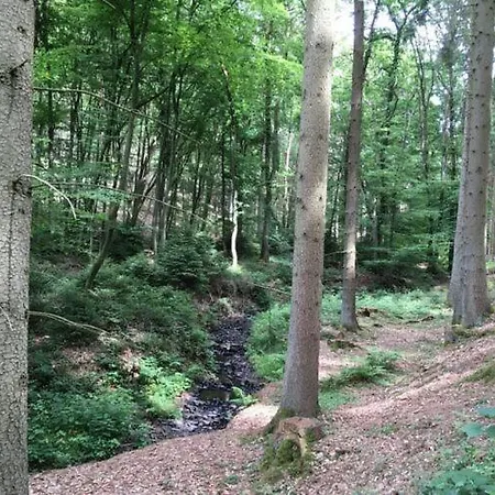 Am Dreisbach